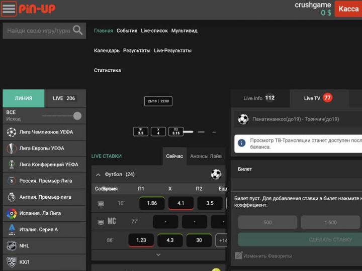 Bookmaker Pin-Up Weddenschap Bookmaker Pin-Up Weddenschap