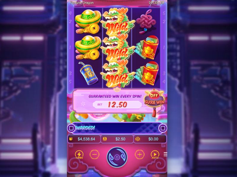 Wie funktionieren die drei Funktionen von Fortune Dragon?